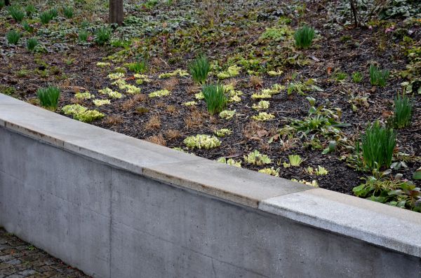 Concrete Wall Construction in Laurel