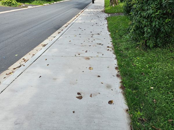 Sidewalk Renovation in Laurel