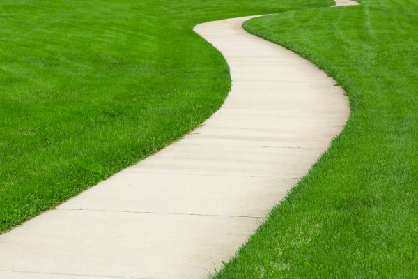 Concrete Walkway Construction in Laurel