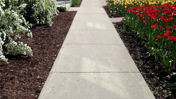 Cement Sidewalk Installation in Laurel
