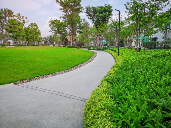Cement Walkway Service in Laurel