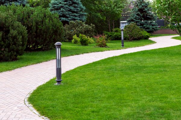Backyard Sidewalk Installation in Laurel
