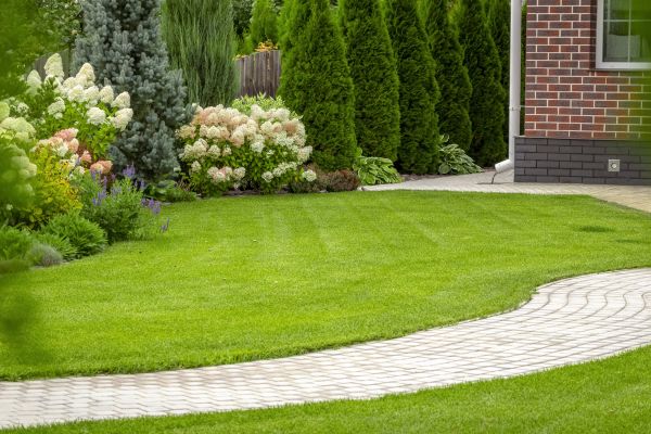 Landscape Walkway Installation in Laurel